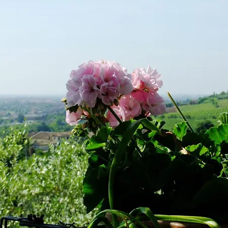 Bed & Breakfast Ca Novecento Verona